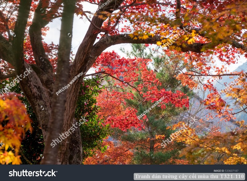 Tranh dán tường cây cối mùa thu T321-110